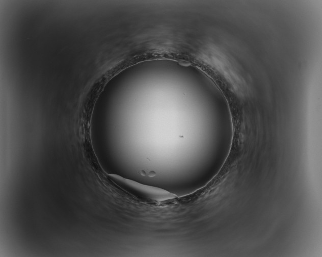 X0000088621207200705251234