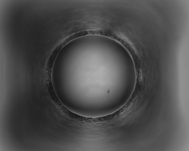 X0000088621208200705251234