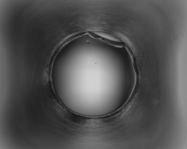 X0000088621212200705251234