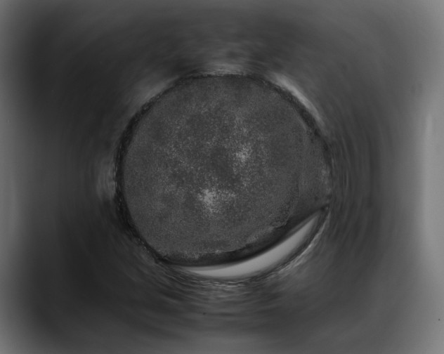 X0000088621213200705251234