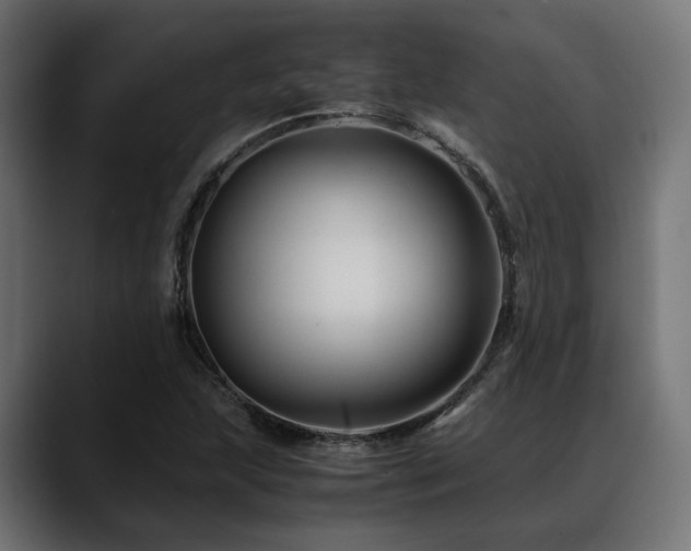 X0000088621215200705251234