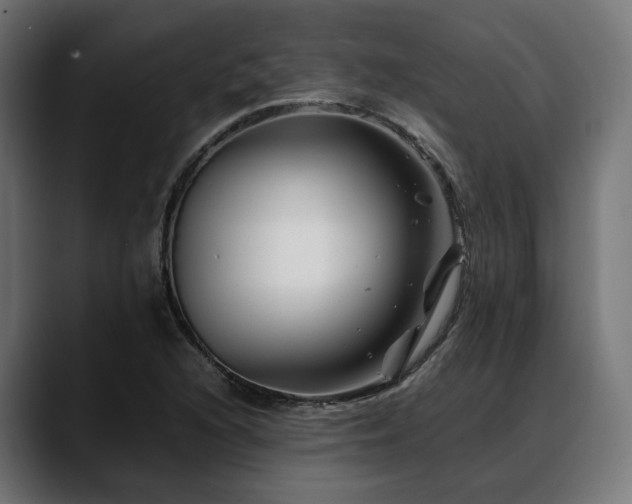 X0000088621216200705251234