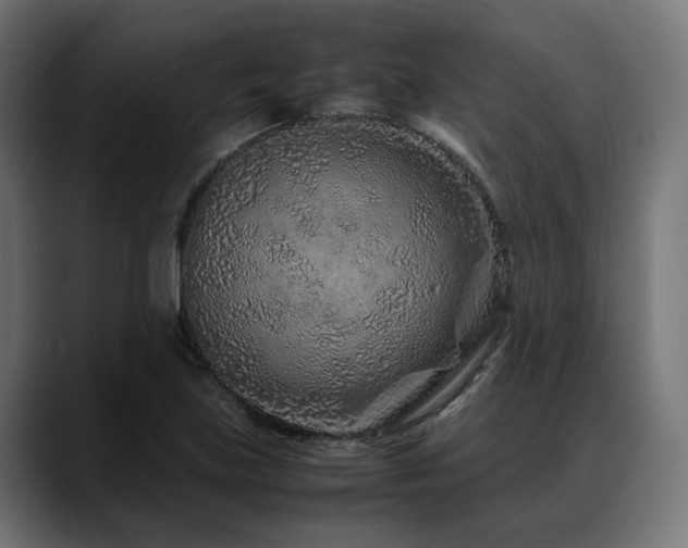 X0000088621219200705251234