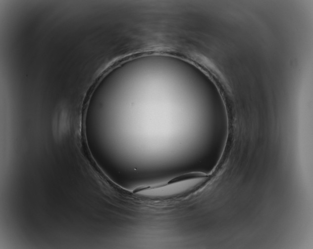 X0000088621220200705251234