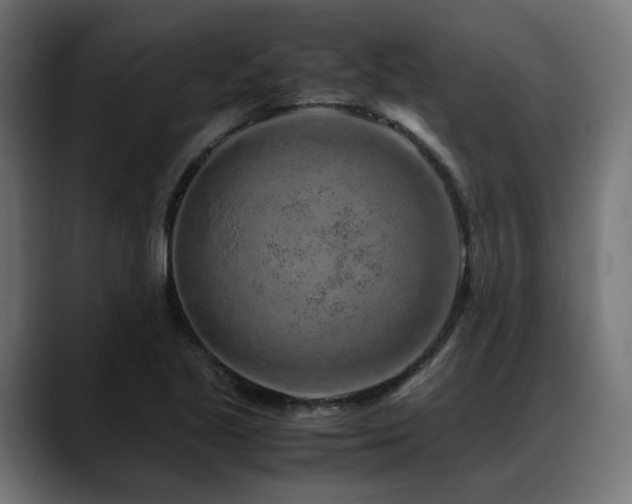 X0000088621221200705251234