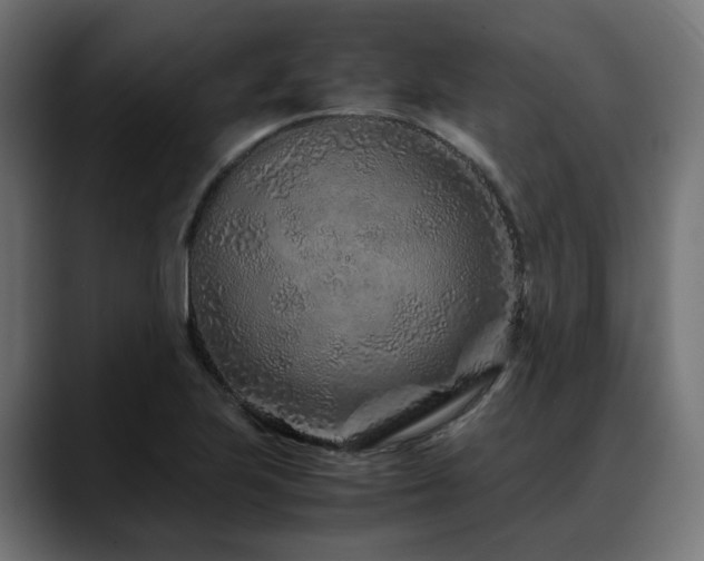 X0000088621223200705251234