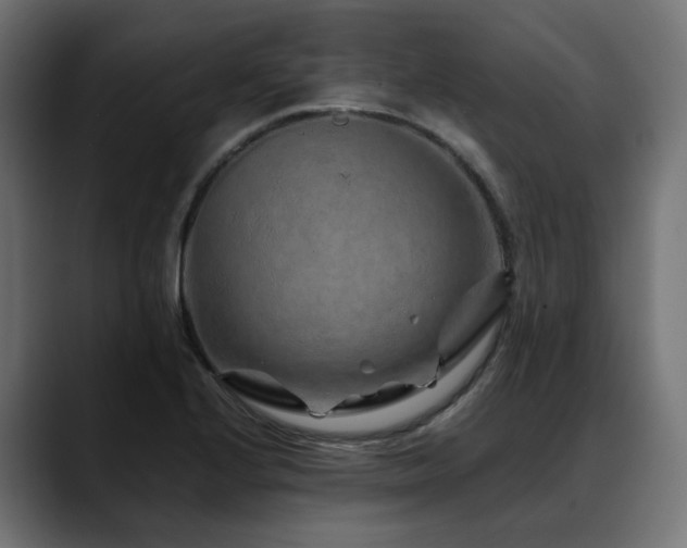 X0000088621224200705251234