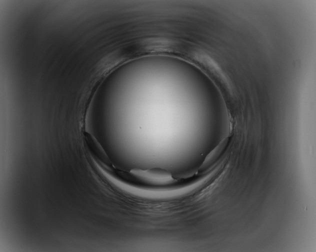 X0000088621225200705251234