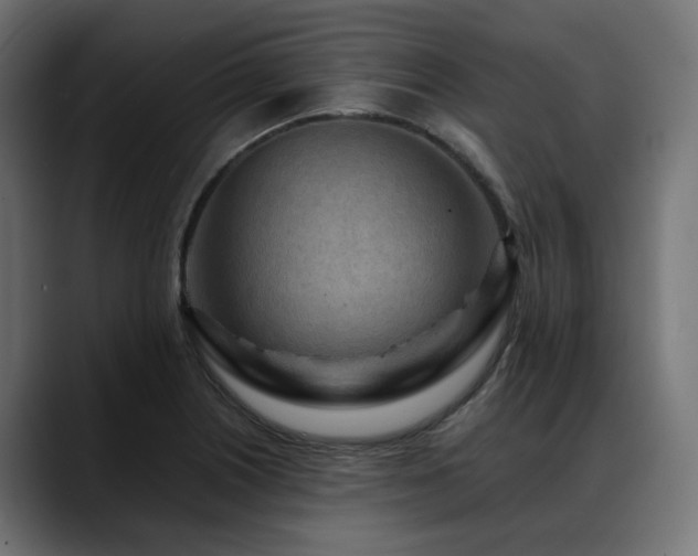 X0000088621226200705251234
