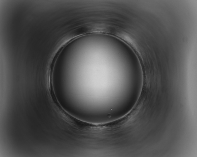 X0000088621227200705251234
