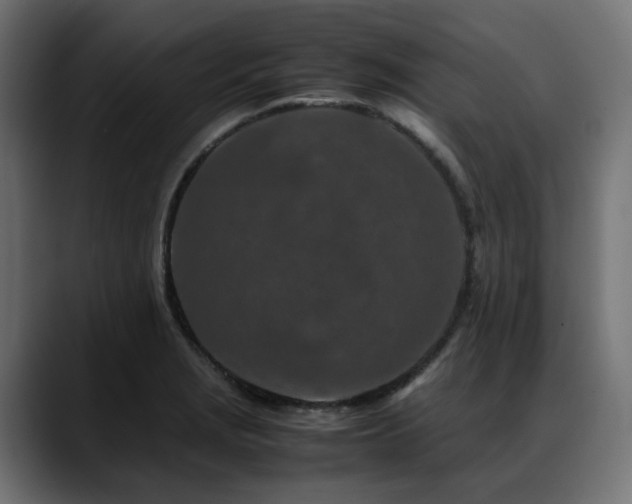 X0000088621229200705251234