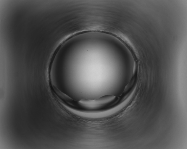 X0000088621230200705251234