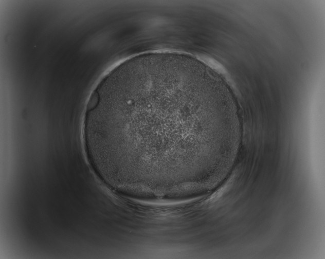 X0000088621231200705251234