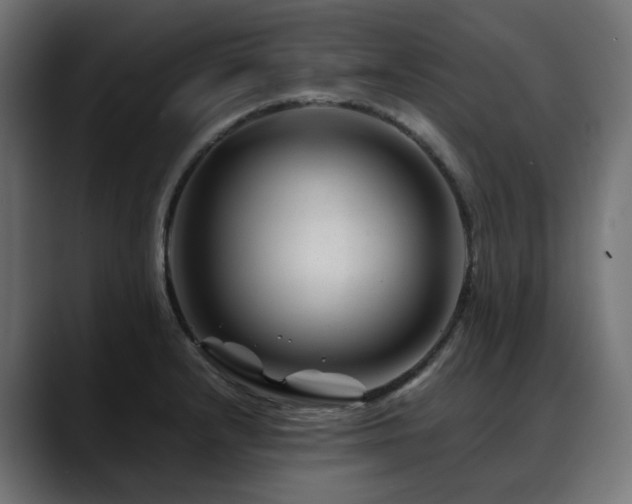 X0000088621232200705251234