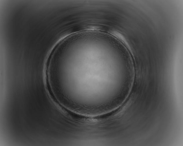 X0000088621235200705251234