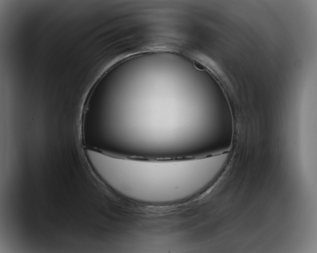 X0000088621236200705251234