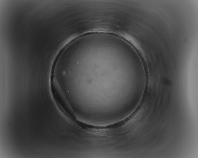 X0000088621237200705251234