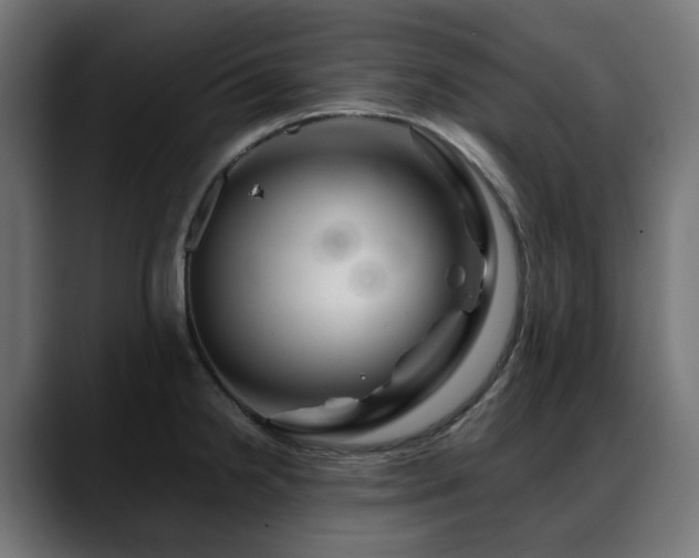 X0000088621238200705251234