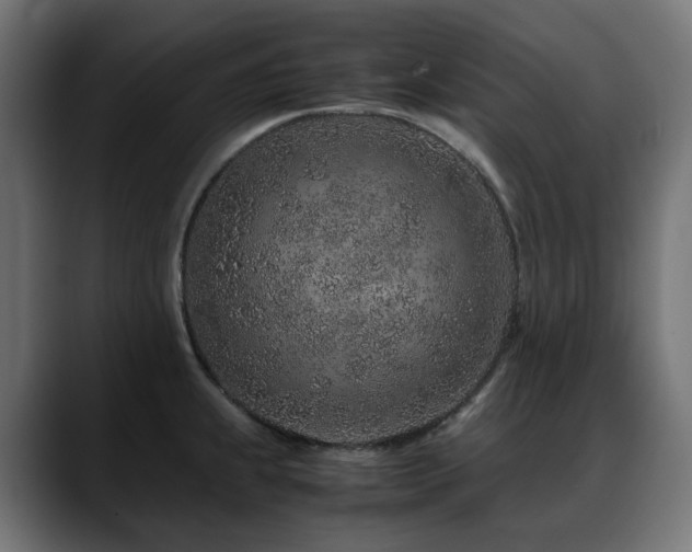X0000088621239200705251234