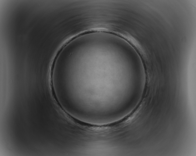 X0000088621240200705251234