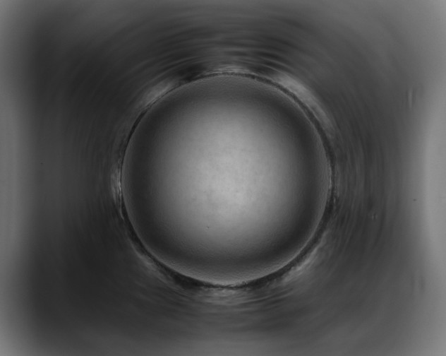 X0000088621241200705251234