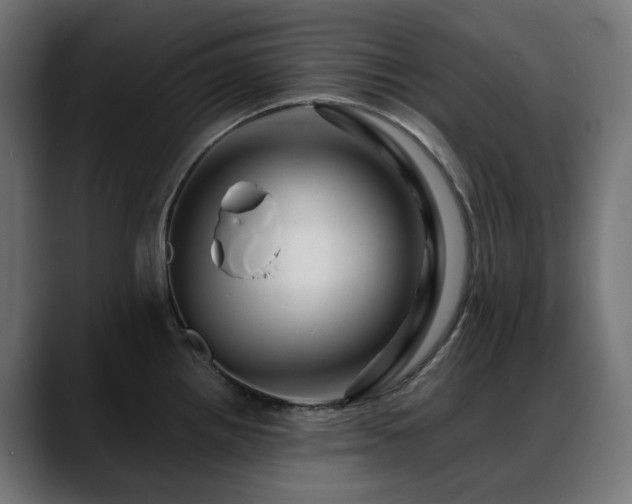 X0000088621242200705251234