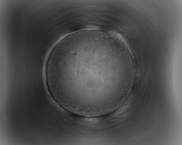 X0000088621243200705251234