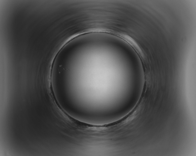 X0000088621244200705251234