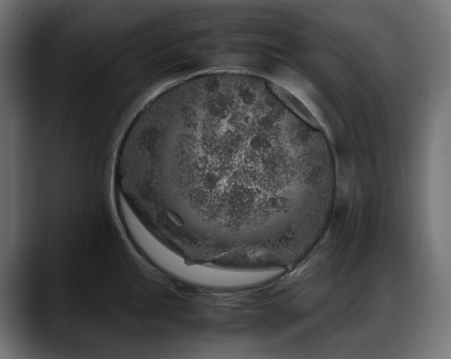 X0000088621245200705251235