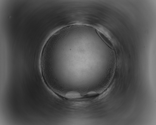 X0000088621247200705251235