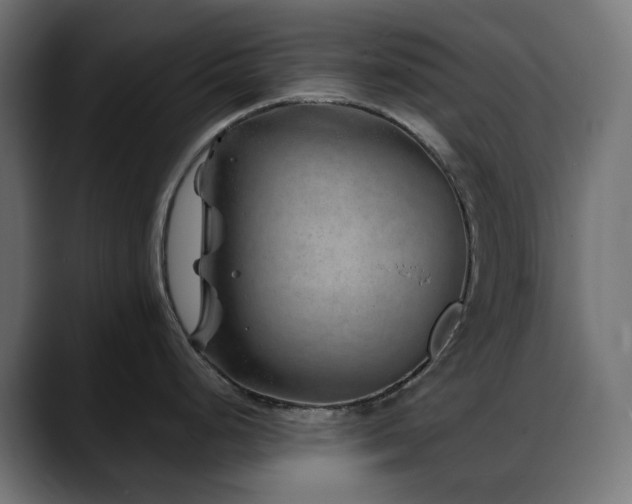 X0000088621248200705251235