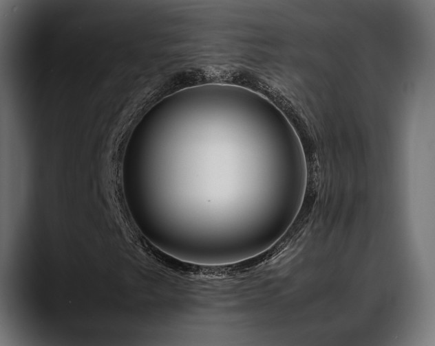 X0000088621249200705251234