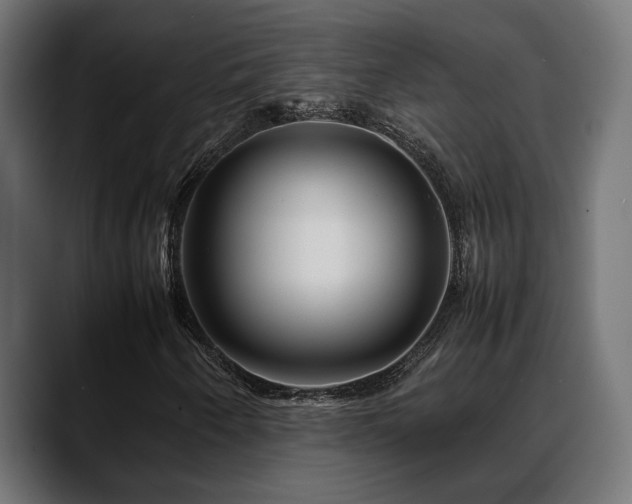 X0000088621250200705251234