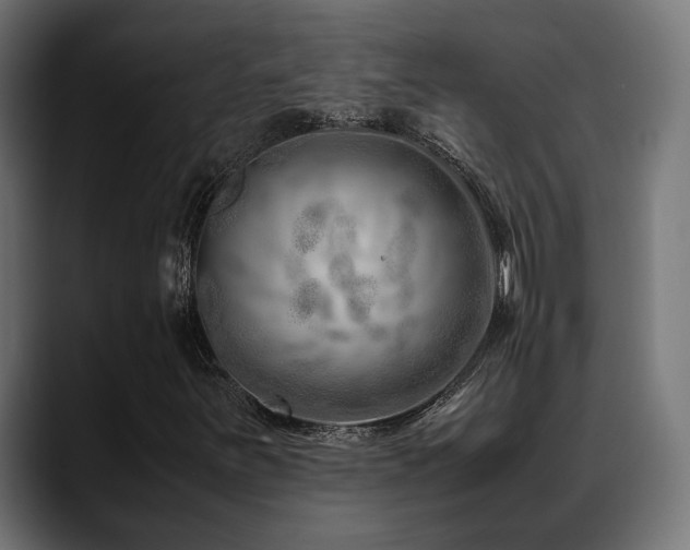 X0000088621251200705251234