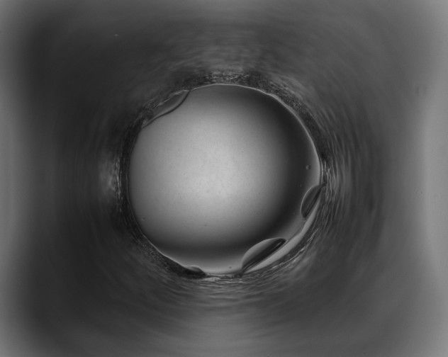 X0000088621252200705251234