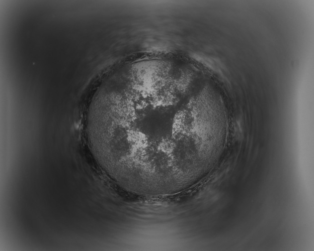 X0000088621254200705251234
