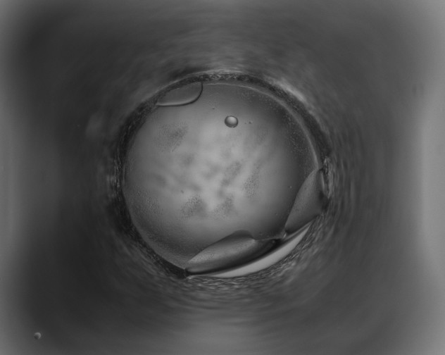 X0000088621255200705251234