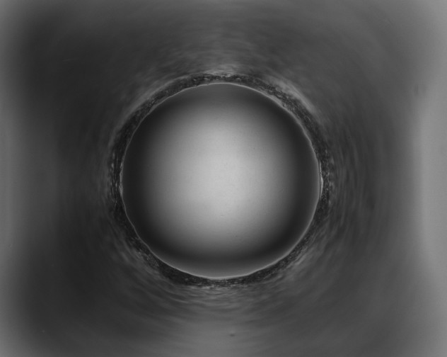 X0000088621256200705251234