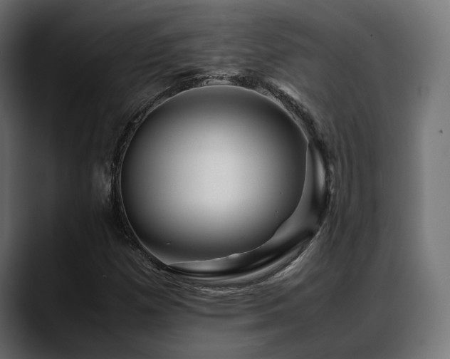 X0000088621257200705251234