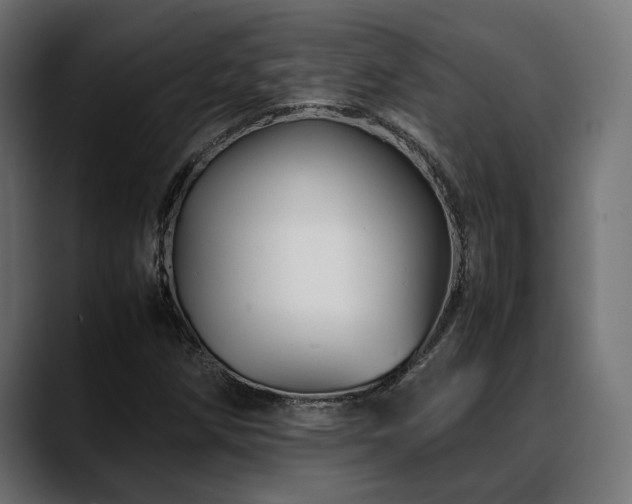 X0000088621258200705251234