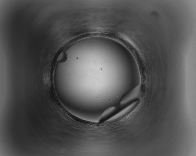 X0000088621259200705251234