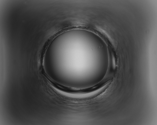 X0000088621261200705251234