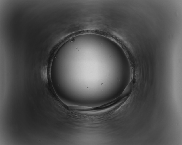 X0000088621262200705251234