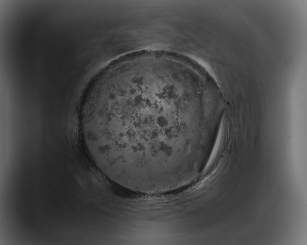 X0000088621263200705251234