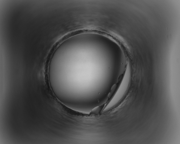 X0000088621264200705251234