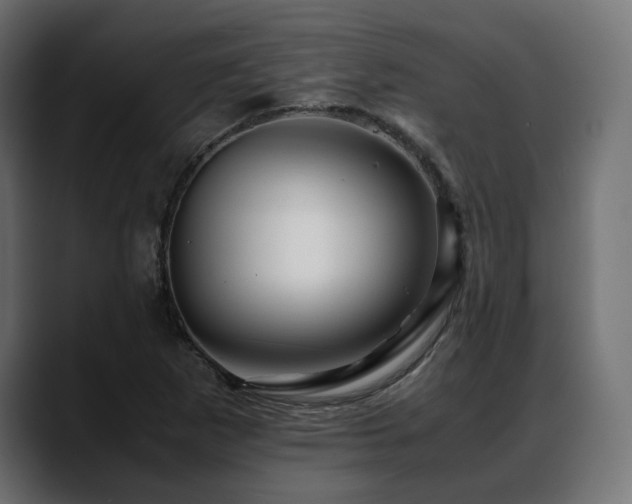 X0000088621265200705251234