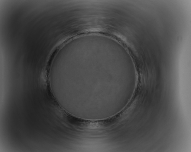 X0000088621266200705251234