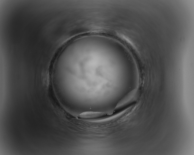 X0000088621267200705251234