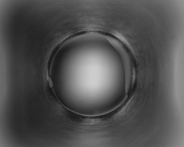 X0000088621269200705251234