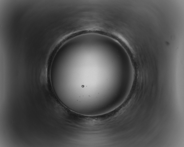 X0000088621270200705251234